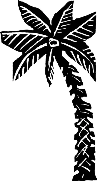 Träsnitt illustration av palm tree — Stock vektor