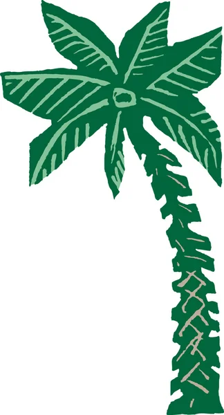 Holzschnitt-Illustration der Palme — Stockvektor