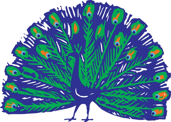 Woodcut ilustração de pavão — Vetor de Stock