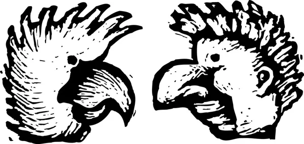 Woodcut Illustrazione di Uomo e Uccello Cockatoo — Vettoriale Stock