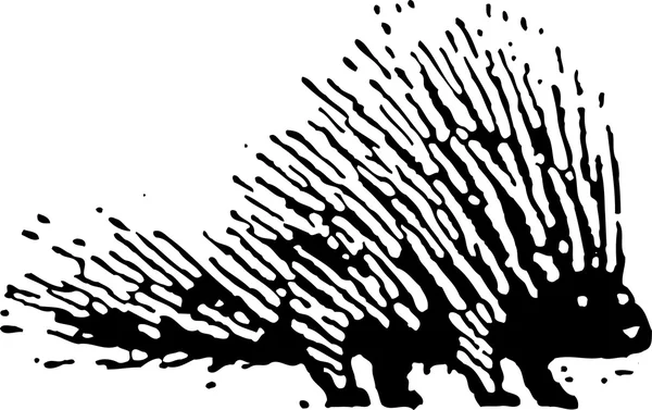 Ilustración en madera de Porcupine — Vector de stock