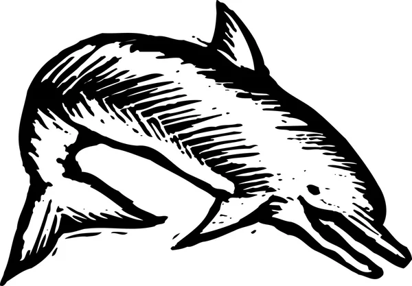Illustrazione del taglio di legno del delfino o della focena — Vettoriale Stock