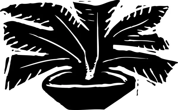 盆栽棕榈的木刻插图 — 图库矢量图片