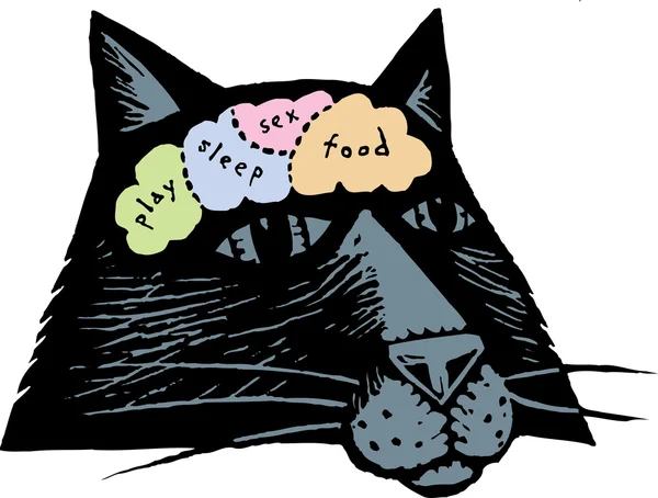 Gravure sur bois Illustration de la carte cérébrale du chat — Image vectorielle