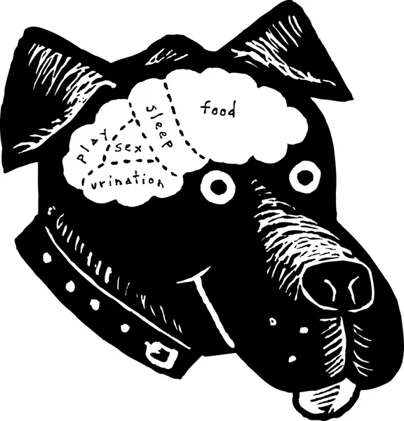 Gravure sur bois Illustration de la carte cérébrale du chien — Image vectorielle
