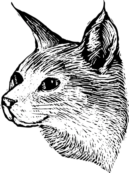 Woodcut Ilustración de la cara del gato — Vector de stock