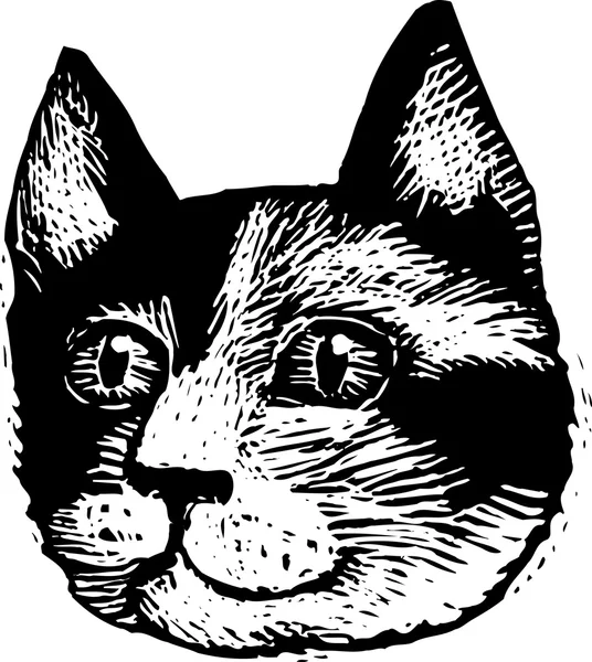 印花布猫脸的木刻插图 — 图库矢量图片