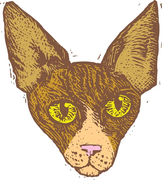 Woodcut Ilustración de la cara del gato — Vector de stock