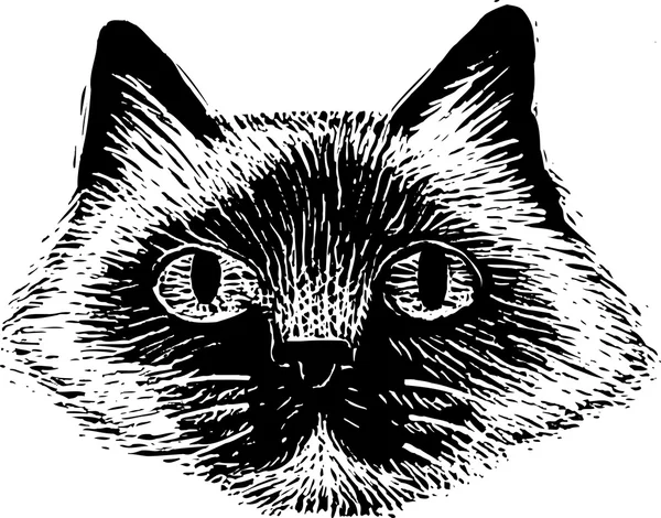 Woodcut Ilustração do rosto do gato — Vetor de Stock