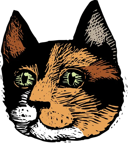 Woodcut Ilustración de la cara del gato — Archivo Imágenes Vectoriales