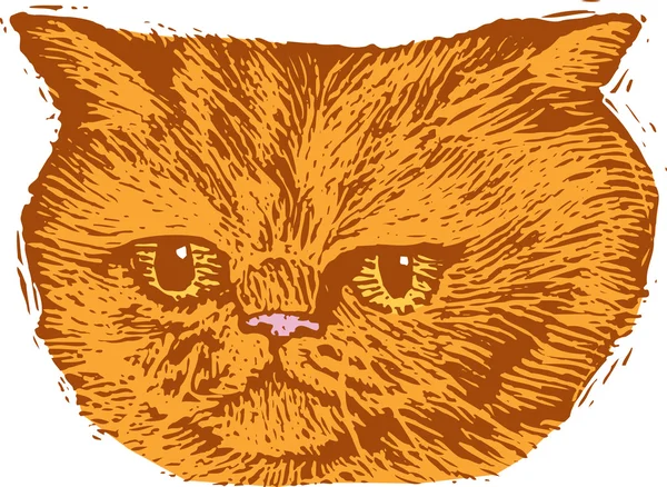 Woodcut Ilustración de la cara del gato — Vector de stock