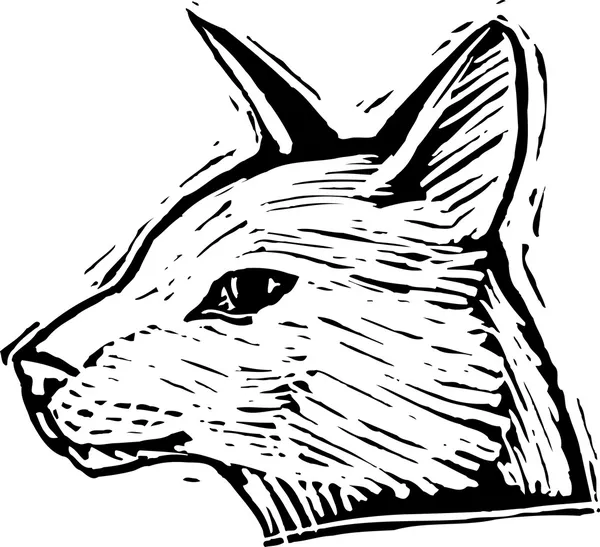 Woodcut Ilustración de la cara del gato — Vector de stock