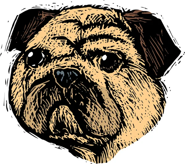 Εικονογράφηση ξυλογραφία του pug σκυλί προσώπου — Διανυσματικό Αρχείο