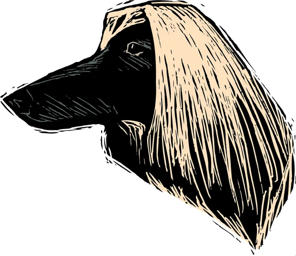 Drzeworyt ilustracja afghan pies twarz — Wektor stockowy