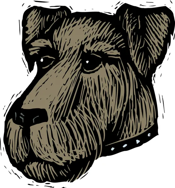 Woodcut Ilustração da cara de cão Schnauzer — Vetor de Stock