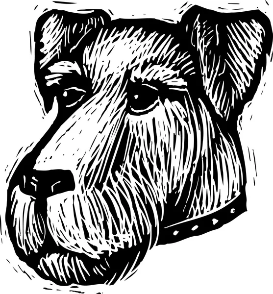 Woodcut Ilustración de la cara de perro de Schnauzer — Archivo Imágenes Vectoriales