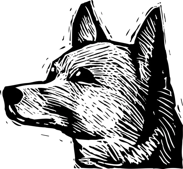 Dřevoryt ilustrace basengi psí tvář — Stockový vektor