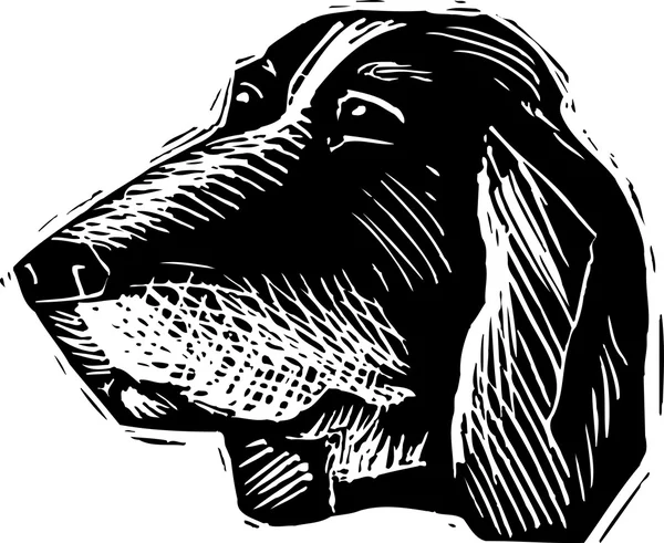 Woodcut Illustrazione di Basset Hound Dog Face — Vettoriale Stock