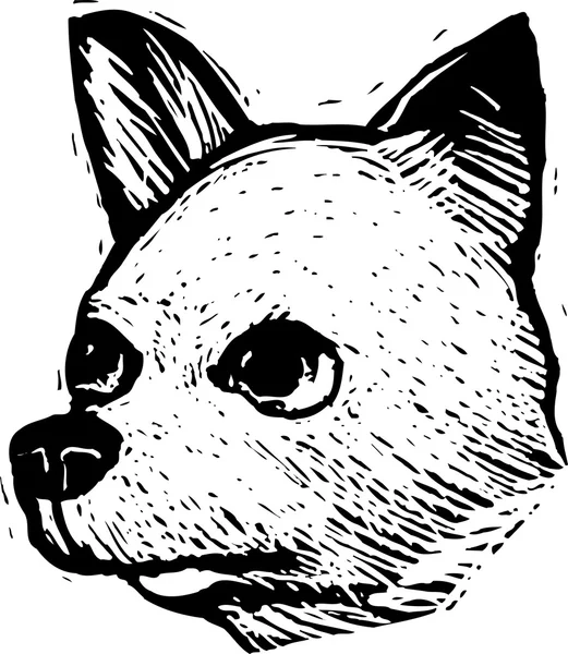 치와와 강아지 얼굴의 목 판화 그림 — 스톡 벡터