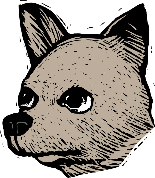 치와와 강아지 얼굴의 목 판화 그림 — 스톡 벡터
