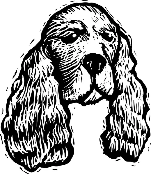 Woodcut Ilustración de Spaniel cara de perro — Archivo Imágenes Vectoriales