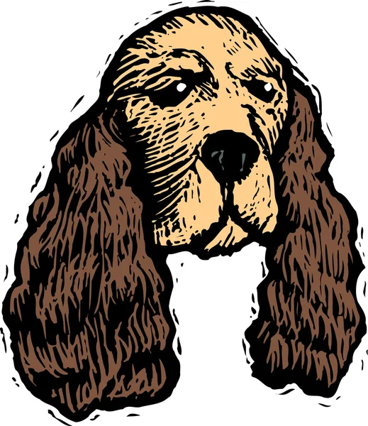 Träsnitt illustration av spaniel hund ansikte — Stock vektor