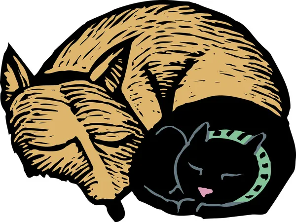 Träsnitt illustration av katt och hund tar tupplur tillsammans — Stock vektor