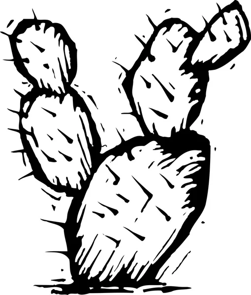 Houtsnede illustratie van prickly pear cactus — Stockvector
