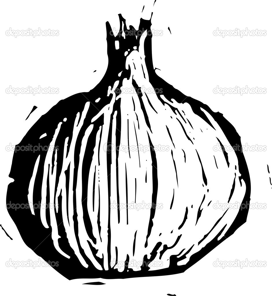 2,671 Onion Paint Stock Photos - Free & Royalty-Free Stock Photos from  Dreamstime - Page 4