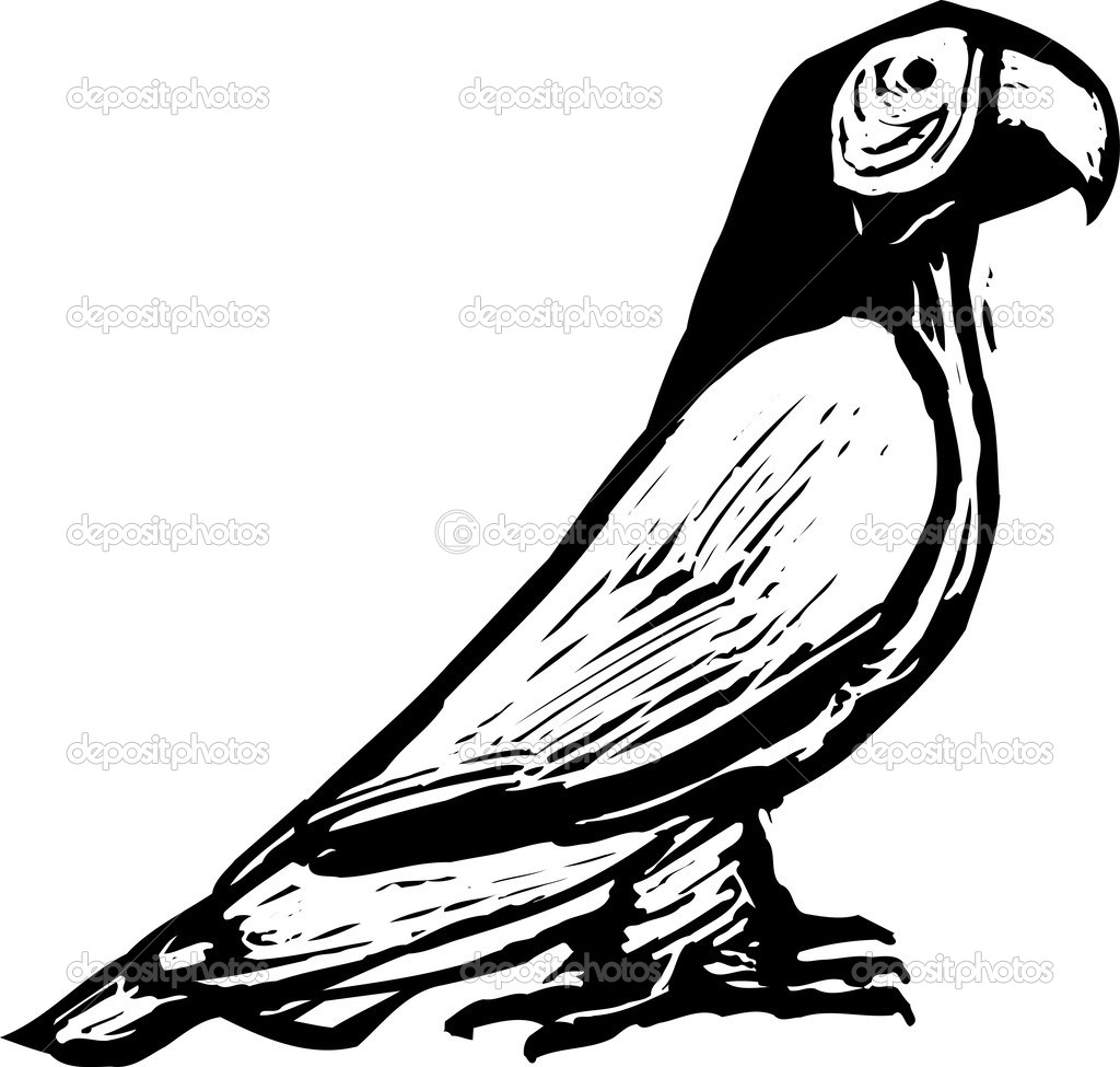 Woodcut illustration of Parrot