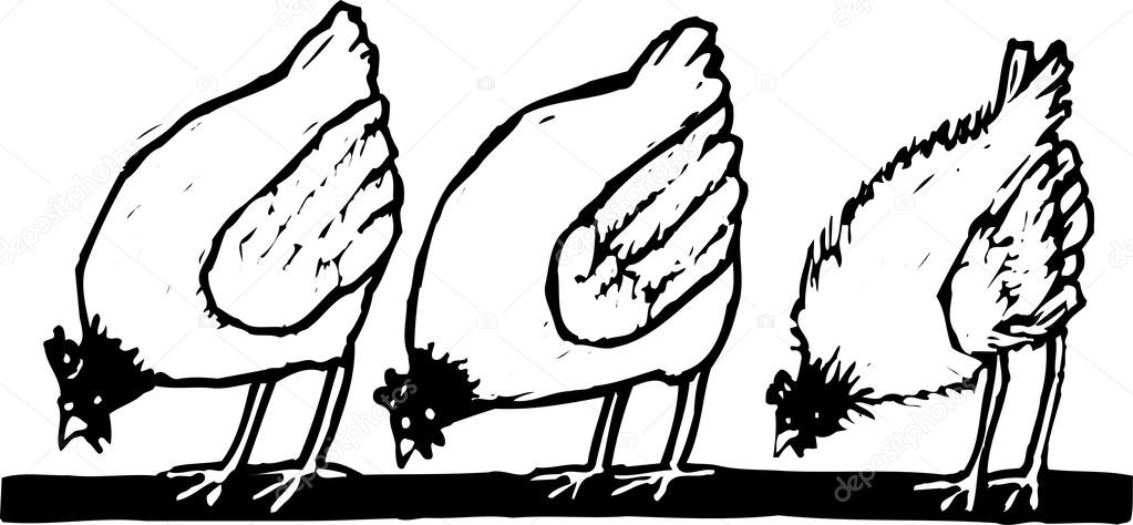 Woodcut Illustration of Pecking Order of Chcikens