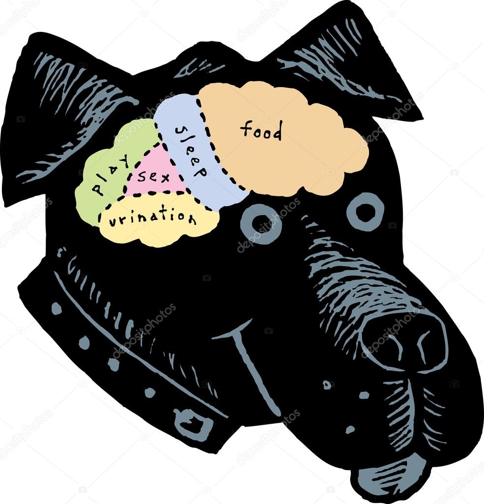 Woodcut Illustration of Brainmap of Dog
