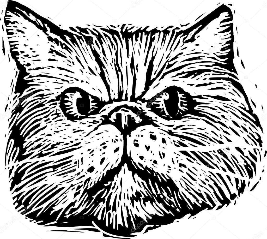 Woodcut Illustration of Cat Face