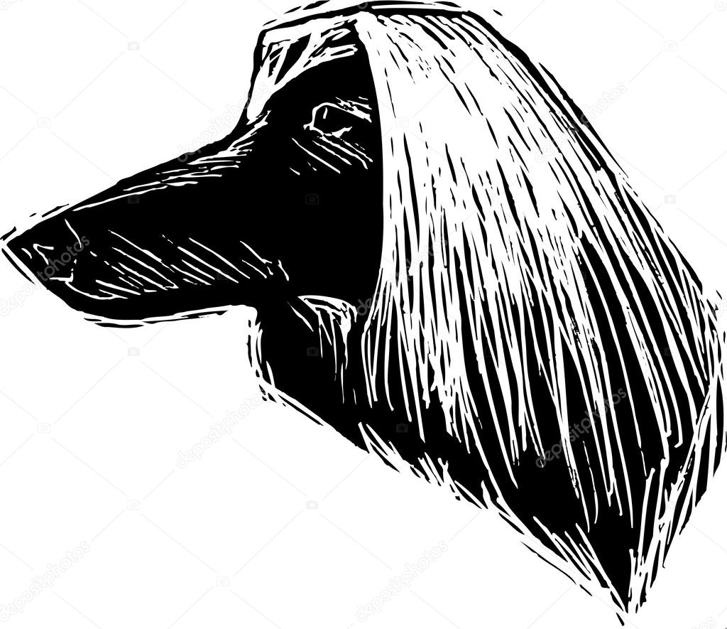 Woodcut Illustration of Afghan Dog Face