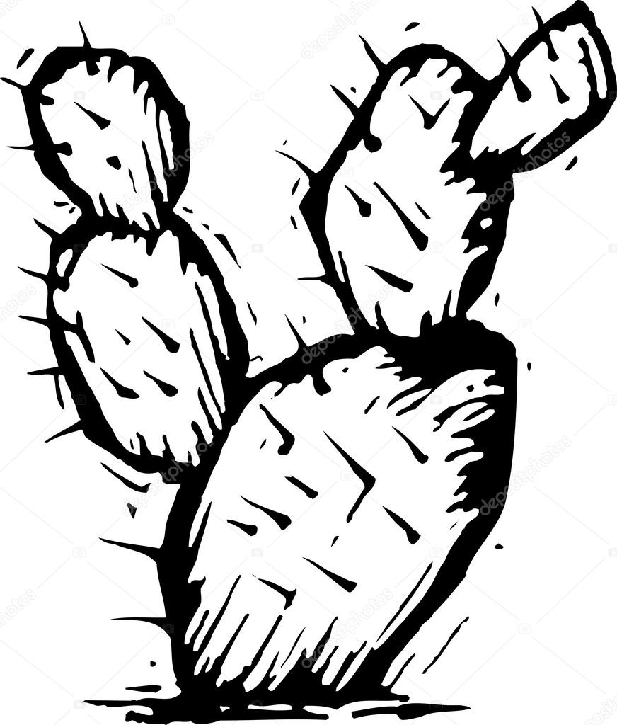 Woodcut Illustration of Prickly Pear Cactus