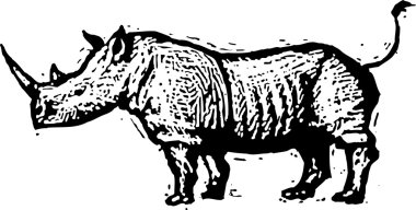 rhino vektör çizim