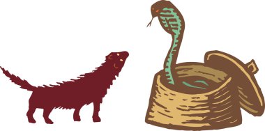 Rikki Tikki