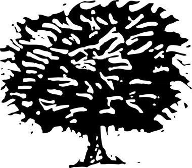 Funda vektör çizim