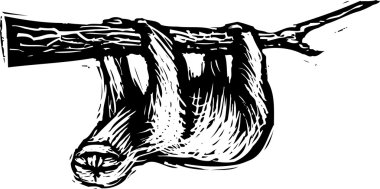 tembellik gravür çizimi