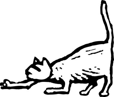 Kedi avını takip ediyor