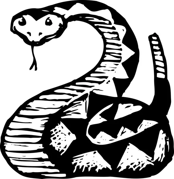 Illustration der Klapperschlange — Stockvektor