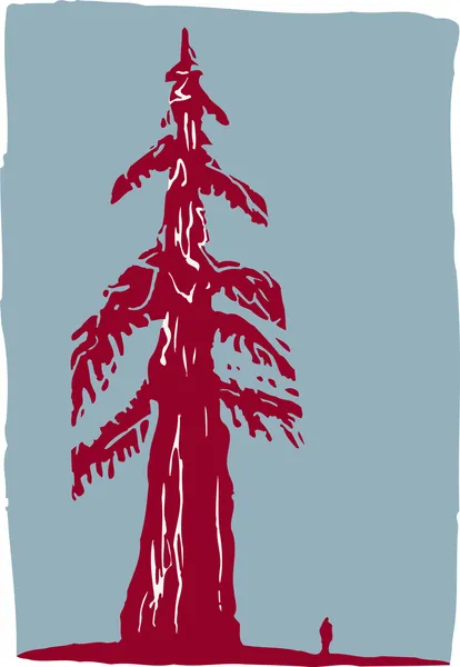 Redwood Tree — Stock Vector