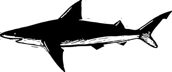 Ilustração vetorial do tubarão — Vetor de Stock