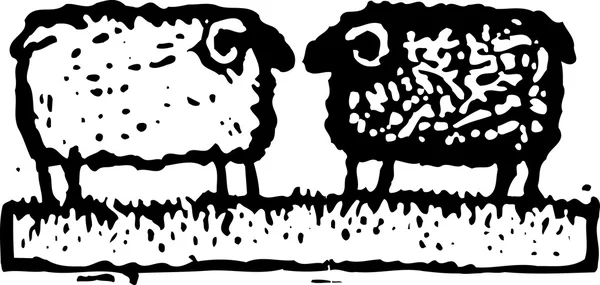 Ilustracja wektora owiec — Wektor stockowy
