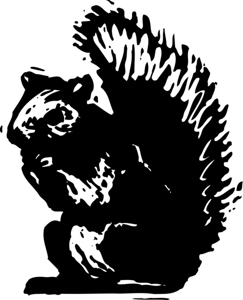 Holzschnitt-Illustration von Eichhörnchen — Stockvektor
