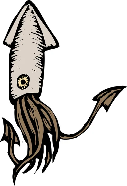 Woodcut illustration of Squid — Stock Vector