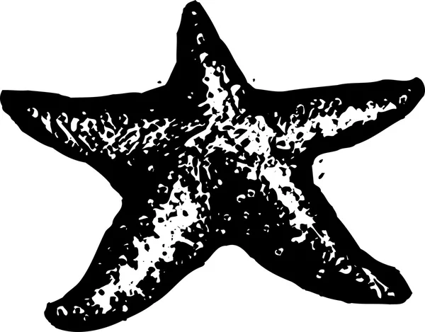 Woodcut Ilustración de estrellas de mar — Archivo Imágenes Vectoriales