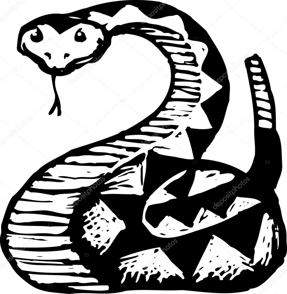 Illustration of Rattlesnake
