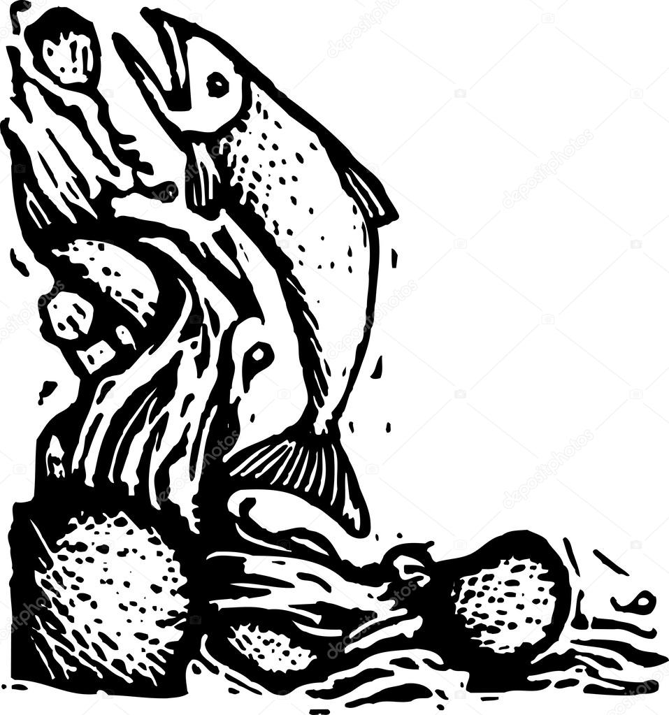 Woodcut illustration of Salmon