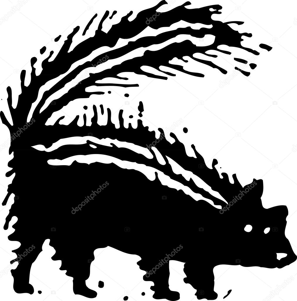 Vector illustration of Skunk